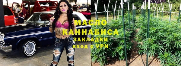 гидра Новозыбков