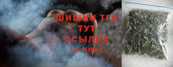гидра Новозыбков
