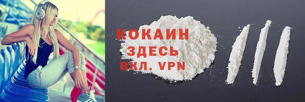 гидра Новозыбков