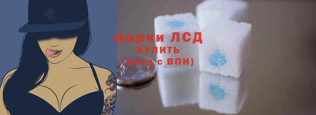 гидра Новозыбков