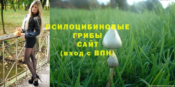каннабис Новодвинск