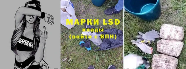 каннабис Новодвинск