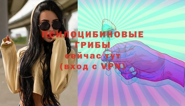 спиды Новокубанск