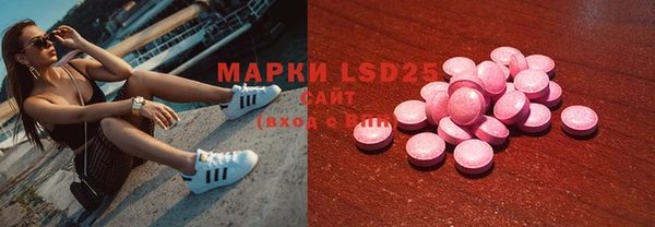 гидра Новозыбков