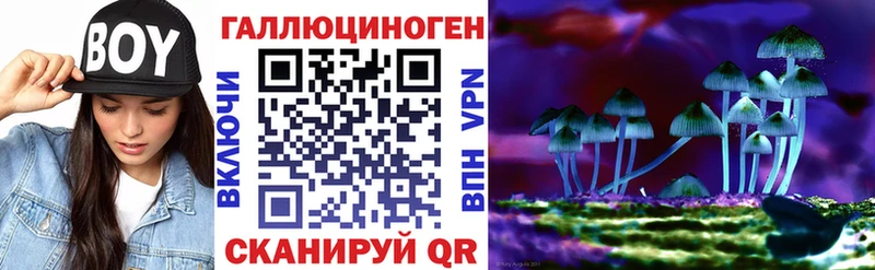 Псилоцибиновые грибы Psilocybe Углегорск